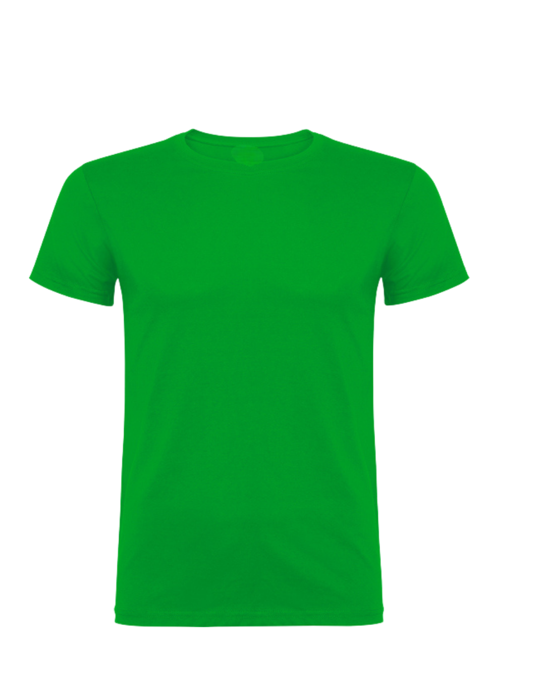 Meisterschaft/ Aufstieg / Malleshirt inkl.Druck