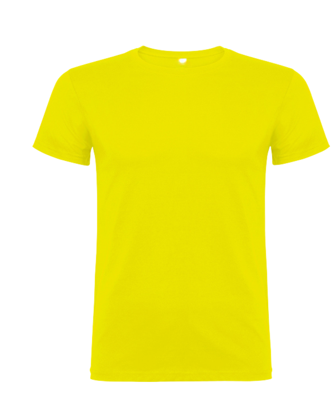 Meisterschaft/ Aufstieg / Malleshirt inkl.Druck
