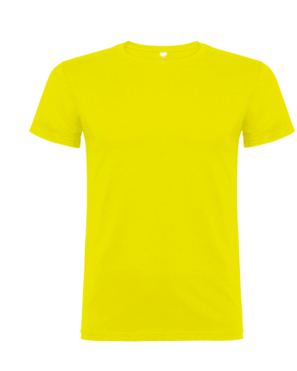 Meisterschaft/ Aufstieg / Malleshirt inkl.Druck