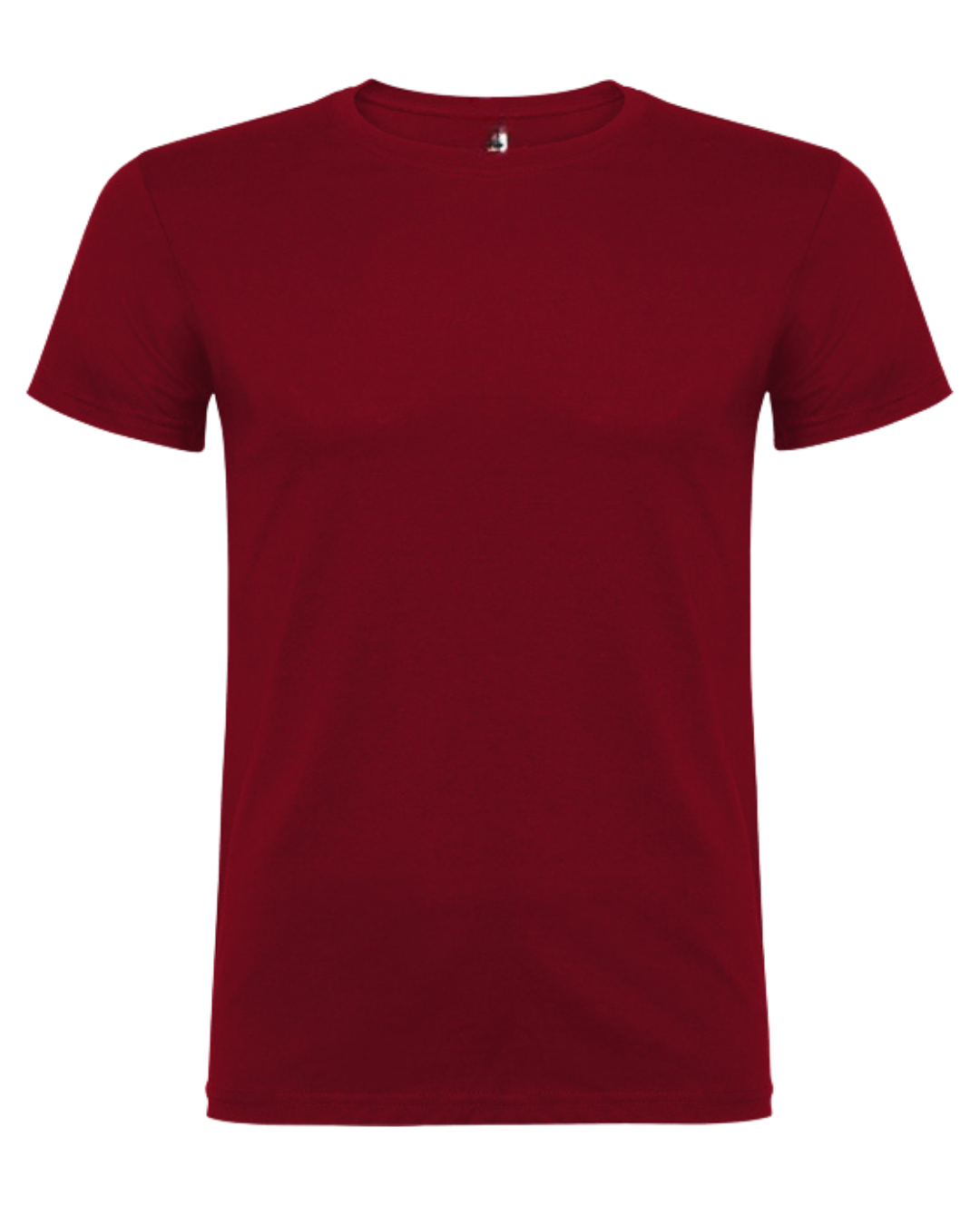 Meisterschaft/ Aufstieg / Malleshirt inkl.Druck