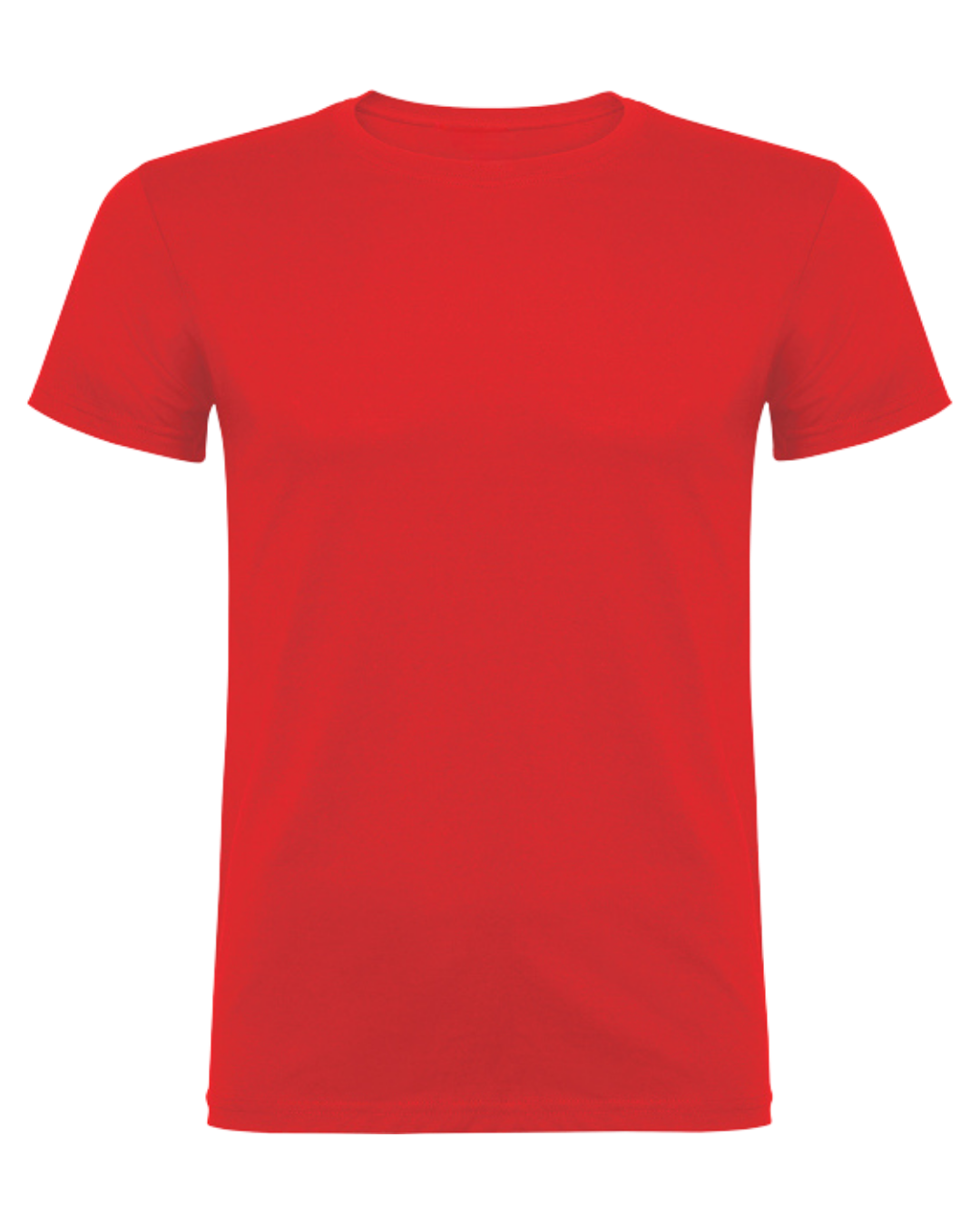 Meisterschaft/ Aufstieg / Malleshirt inkl.Druck