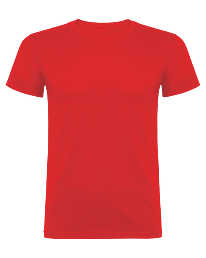Meisterschaft/ Aufstieg / Malleshirt inkl.Druck